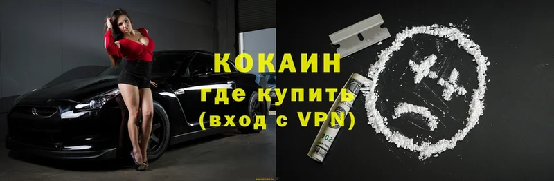 сколько стоит  Шадринск  Cocaine FishScale 